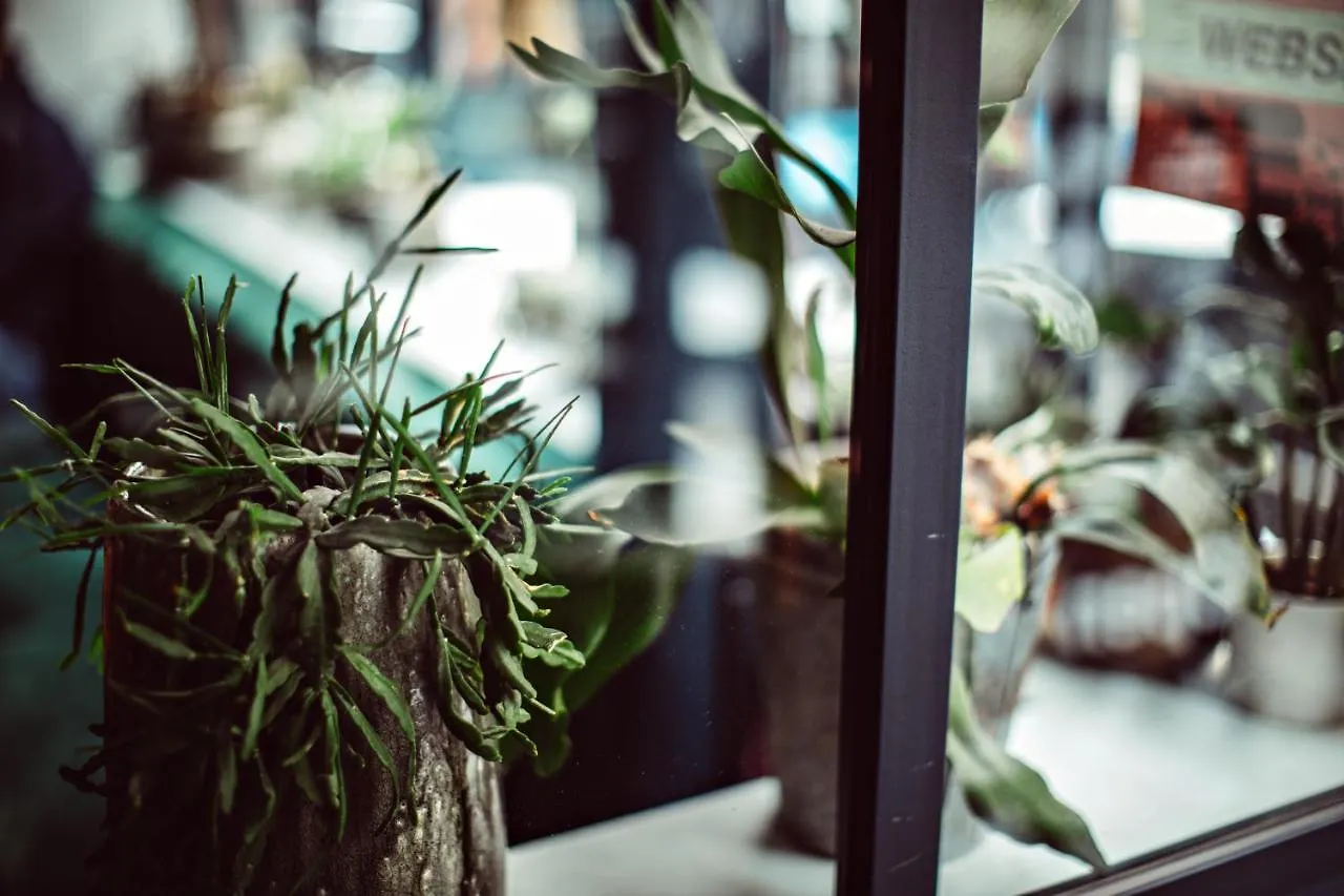 Hotel Monsieur Helder Paris